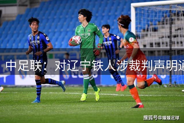 中足联：对辽宁铁人涉裁判声明通报批评并罚款