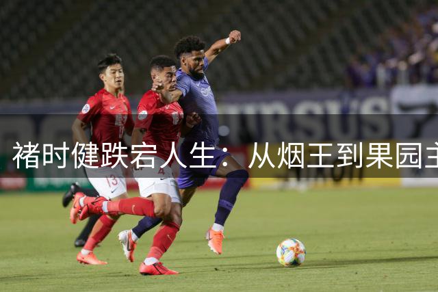 褚时健跌宕人生：从烟王到果园主的传奇