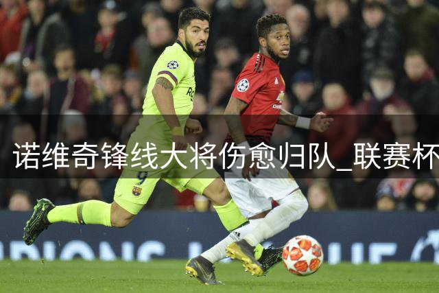 诺维奇锋线大将伤愈归队 联赛杯或迎复出首秀